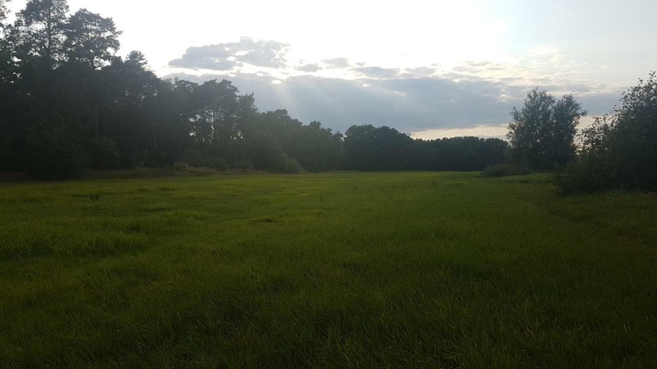 Ferienhaus Im Grunen Wietzendorf Buitenkant foto