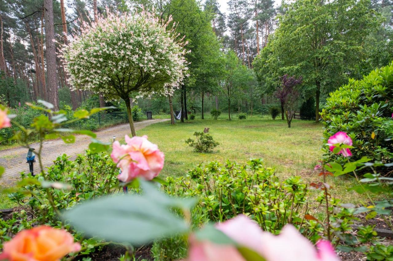 Ferienhaus Im Grunen Wietzendorf Buitenkant foto